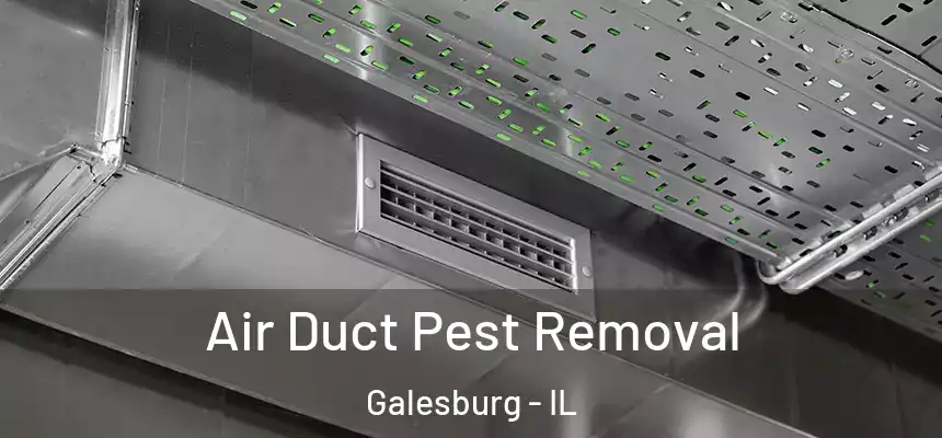 Air Duct Pest Removal Galesburg - IL