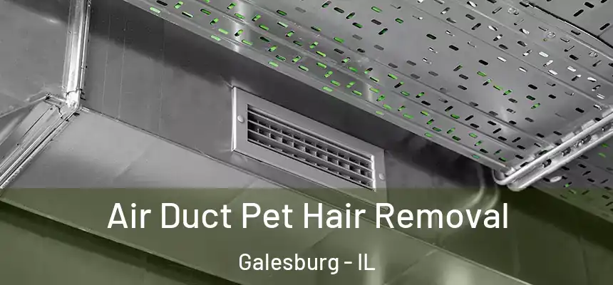 Air Duct Pet Hair Removal Galesburg - IL