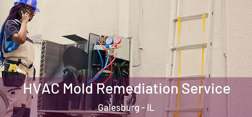 HVAC Mold Remediation Service Galesburg - IL