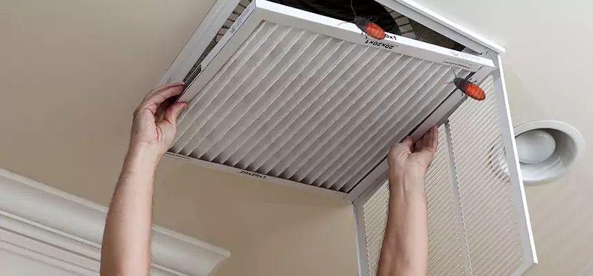 Preventive Cockroach-Proofing for Ducts in Galesburg