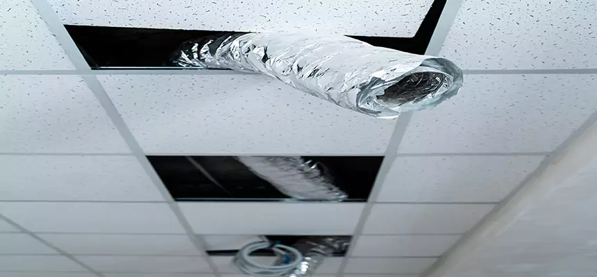 Affordable HVAC Sanitizing After Pest Removal in Galesburg