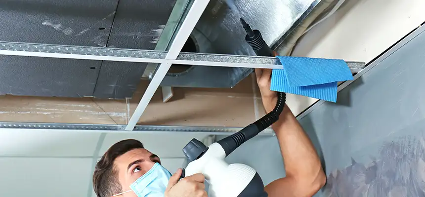 Our Air Duct Rodent Removal Services in Galesburg, IL
