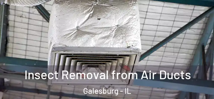 Insect Removal from Air Ducts Galesburg - IL
