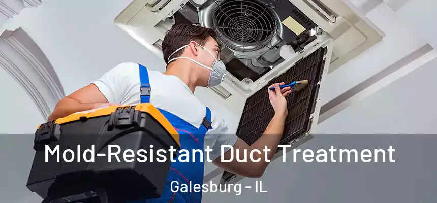  Mold-Resistant Duct Treatment Galesburg - IL