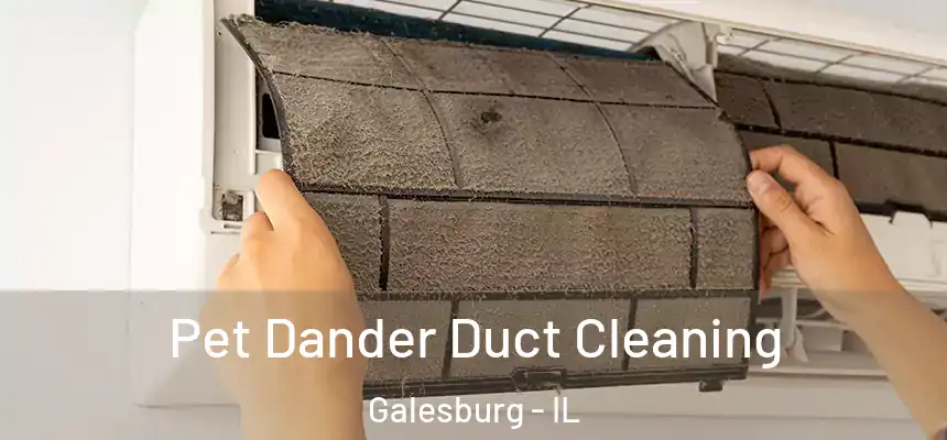 Pet Dander Duct Cleaning Galesburg - IL