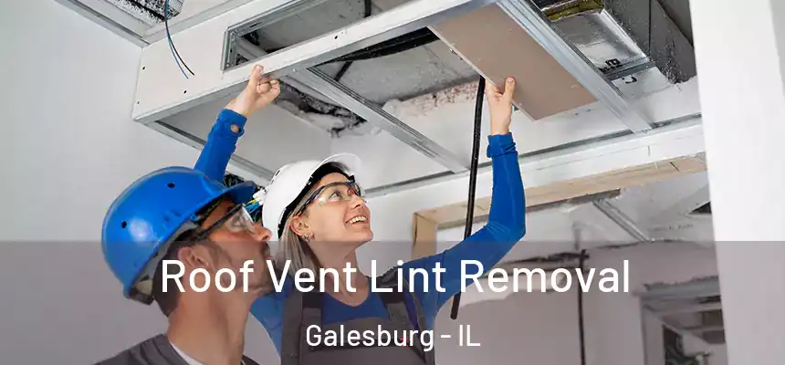 Roof Vent Lint Removal Galesburg - IL