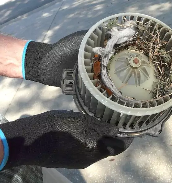 About Air Duct Rat Removal in Galesburg, IL