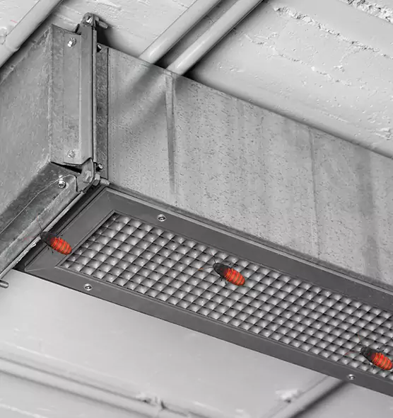 Affordable Insect Removal from Air Ducts in Galesburg, IL